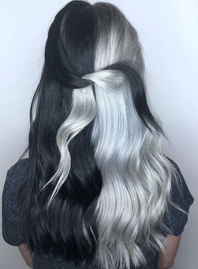33-unique-split-hair-dye-ideas-trending-color-combinations-to-try-in-2023 Black & Silver Split Hair
