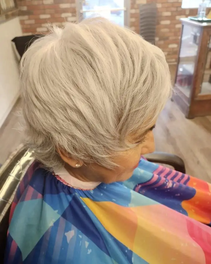 36-hairstyles-for-gorgeous-gray-hair Short Shag