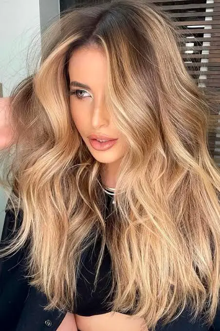 41-black-and-blonde-hair-ideas-highlights-to-rock-in-2023 Buttery Honey Highlights