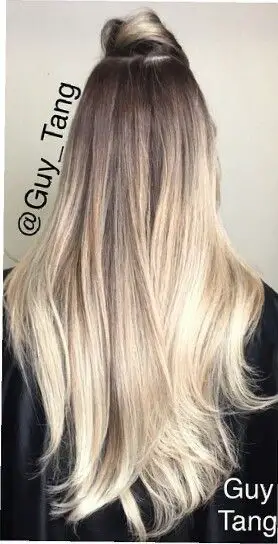 41-black-and-blonde-hair-ideas-highlights-to-rock-in-2023 Dark To Light Blonde Ombre Hair
