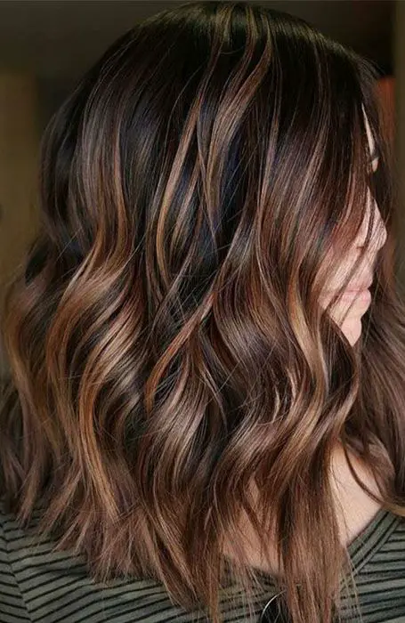 45-sexy-black-hair-ideas-trending-colors-to-try-in-2023 Chestnut Highlights