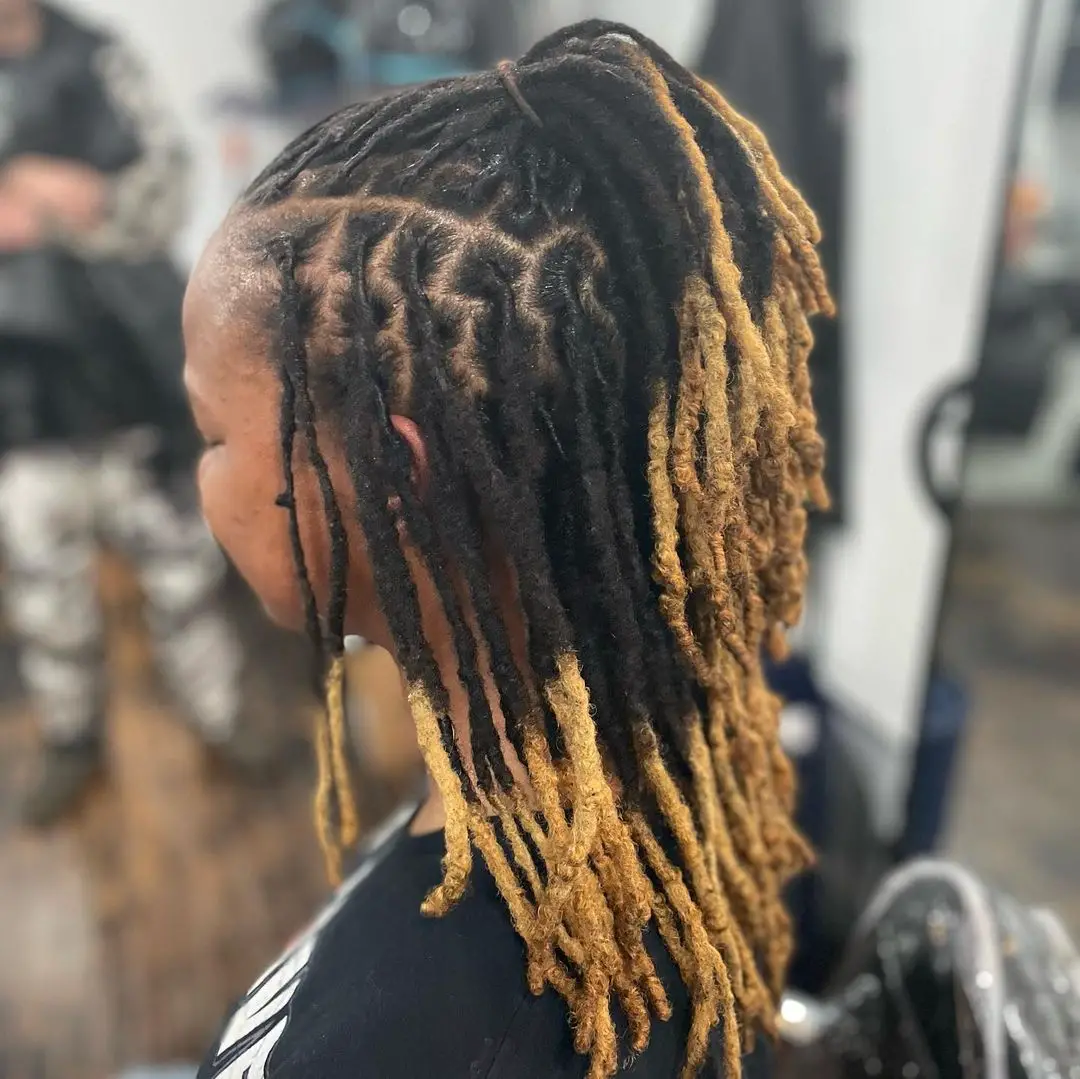 50-loc-styles-for-women-easy-starter-dreads-youand-8217-ll-love Half Up Ombre Dreadlocks