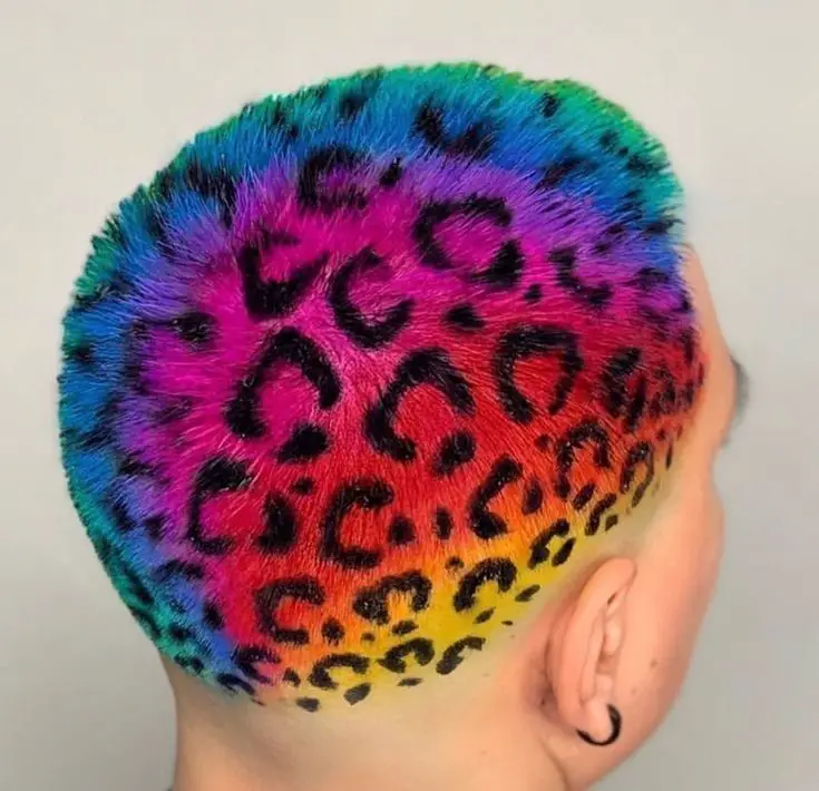 63-coolest-rainbow-hair-ideas-trending-colors-to-try Cheetah Print Rainbow Hair