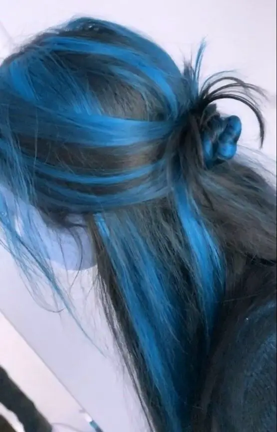 63-unique-blue-hair-ideas-light-and-038-dark-colors-to-try-in-2023 Black And Blue Chunky Streaks