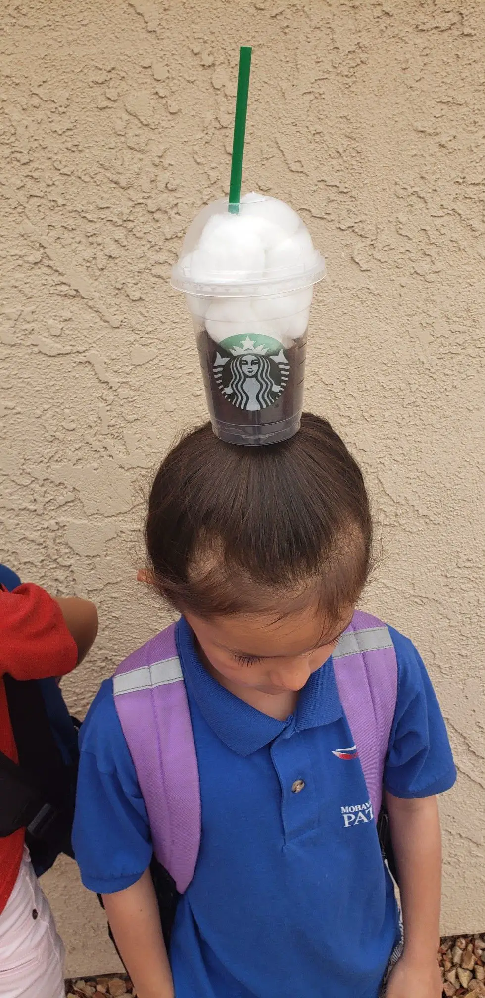 65-crazy-hair-day-ideas-wacky-boys-and-038-girls-hairstyles-for-school Frappuccino Hair