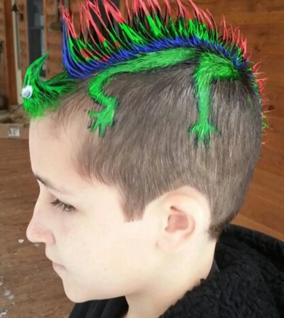 65-crazy-hair-day-ideas-wacky-boys-and-038-girls-hairstyles-for-school Lizard Mohawk