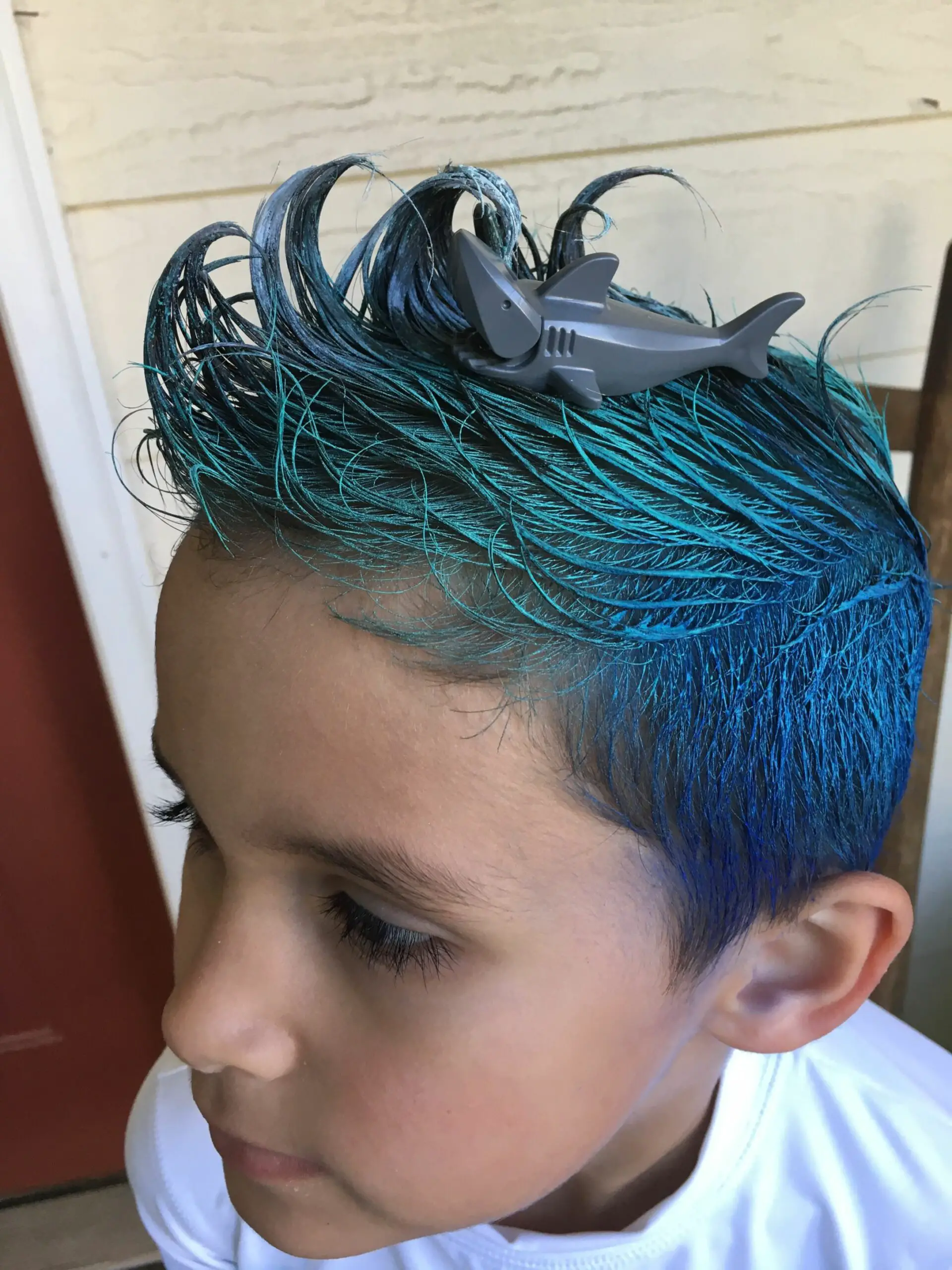 65-crazy-hair-day-ideas-wacky-boys-and-038-girls-hairstyles-for-school Shark Infested Hair