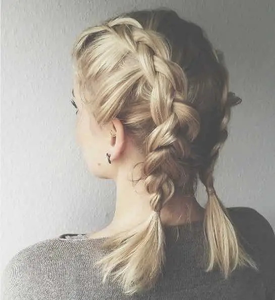 100-best-haircuts-for-women-trending-hairstyles-in-2023 Double Dutch Braids