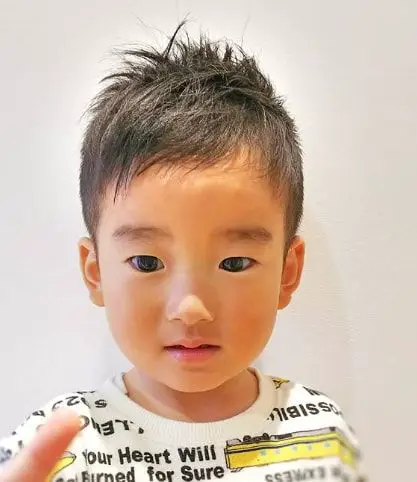 100-cute-haircuts-for-little-boys-whats-cool-this-year Short Spikes