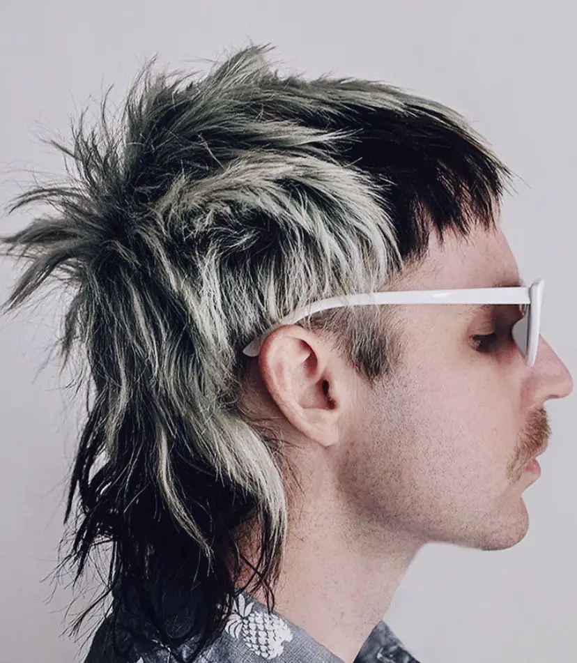 75-modern-mullet-haircut-ideas-for-men-trending-this-year Black And White Highlight
