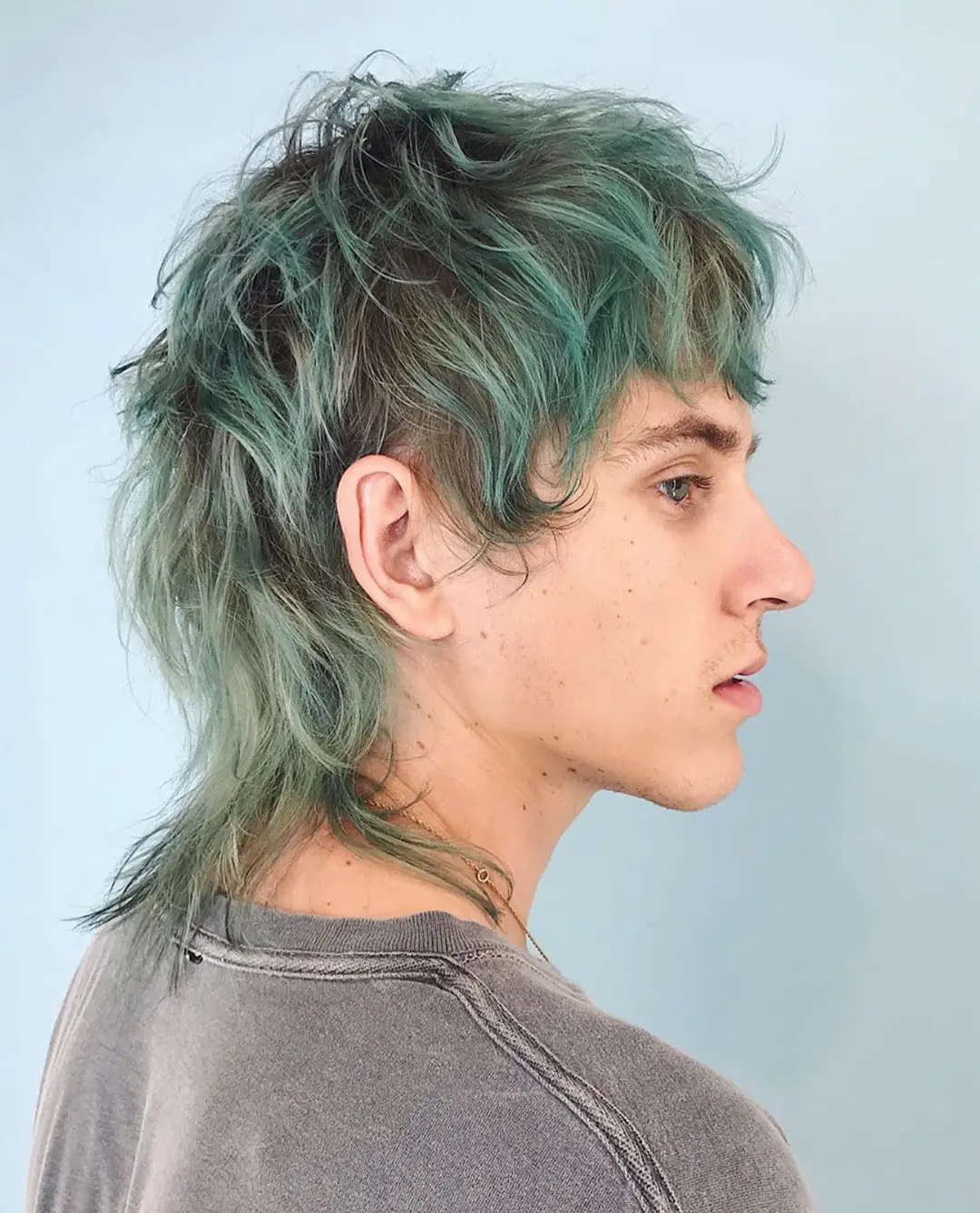 75-modern-mullet-haircut-ideas-for-men-trending-this-year Colored Highlights